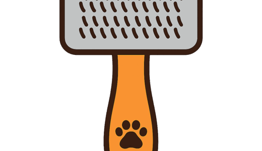 犬用「ブラシ」