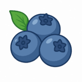 ブルーベリーのイラストです（背景透過PNG）