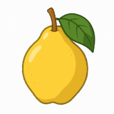 カリンのイラストです（背景透過PNG）