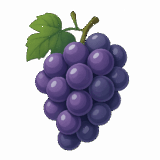 ぶどうのイラストです（背景透過PNG）