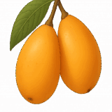 びわのイラストです（背景透過png）