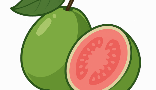 グアバのイラスト
