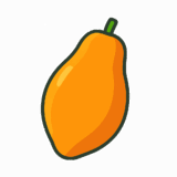 パパイヤのイラストです（背景透過png）