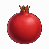 ざくろのイラストです（背景透過png）