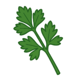 三つ葉のイラストです（背景透過png）