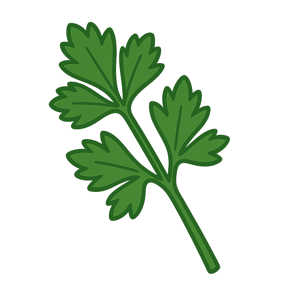 三つ葉のイラストです（背景透過png）