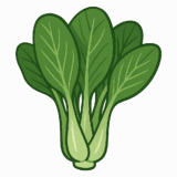小松菜のイラストです（背景透過png）