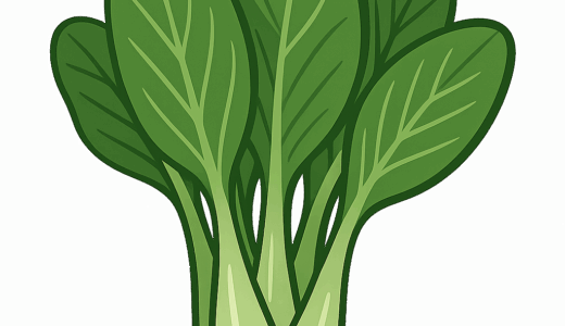 小松菜のイラスト
