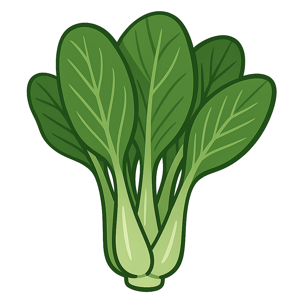 小松菜のイラストです（背景透過png）