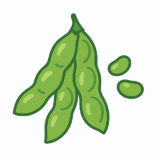 枝豆のイラストです（背景透過png）