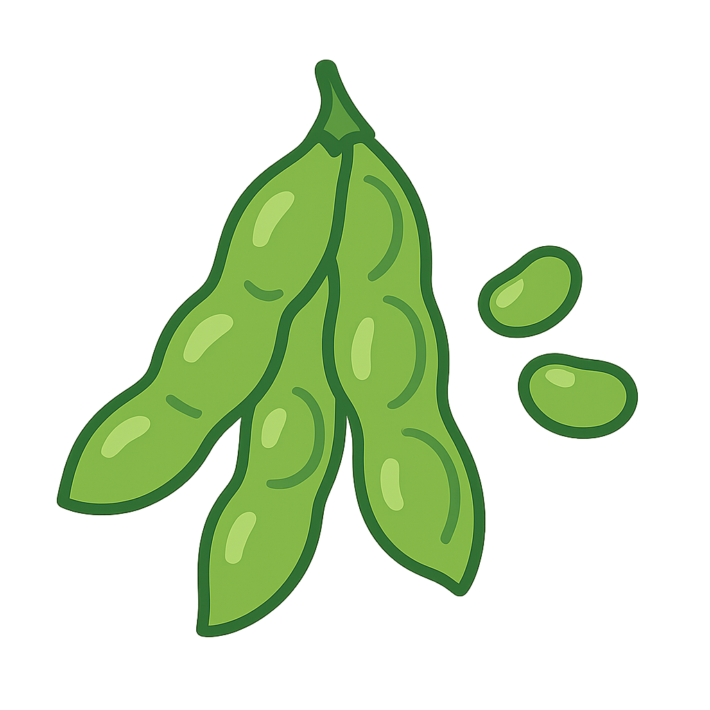 枝豆のイラストです（背景透過png）