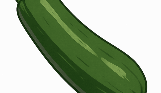 ズッキーニのイラスト