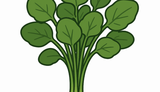 クレソンのイラスト