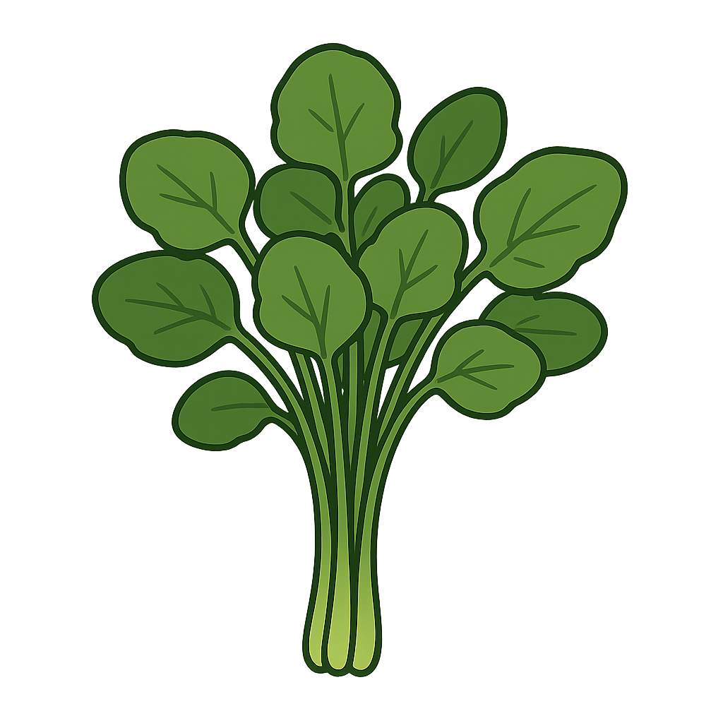 クレソンのイラストです（背景透過png）