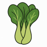 チンゲンサイのイラストです（背景透過png）