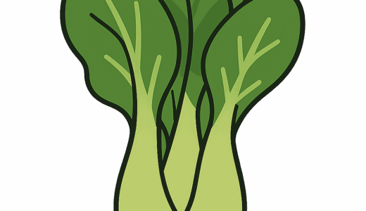 チンゲンサイのイラスト