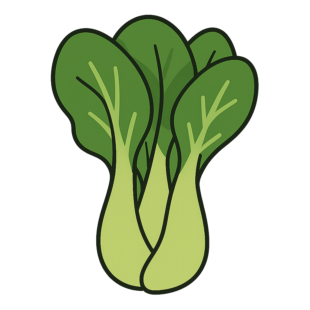 チンゲンサイのイラストです（背景透過png）