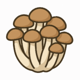 しめじのイラストです（背景透過png）