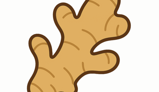 しょうがのイラスト