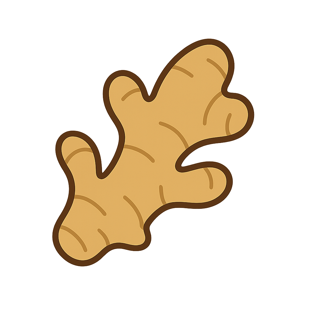 しょうがのイラストです（背景透過png）