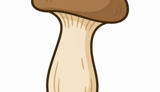 エリンギのイラスト