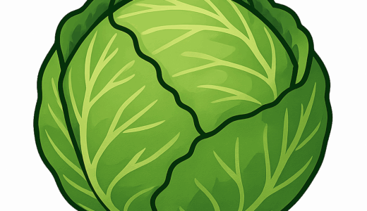 キャベツのイラスト