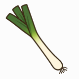 長ネギのイラストです（背景透過png）